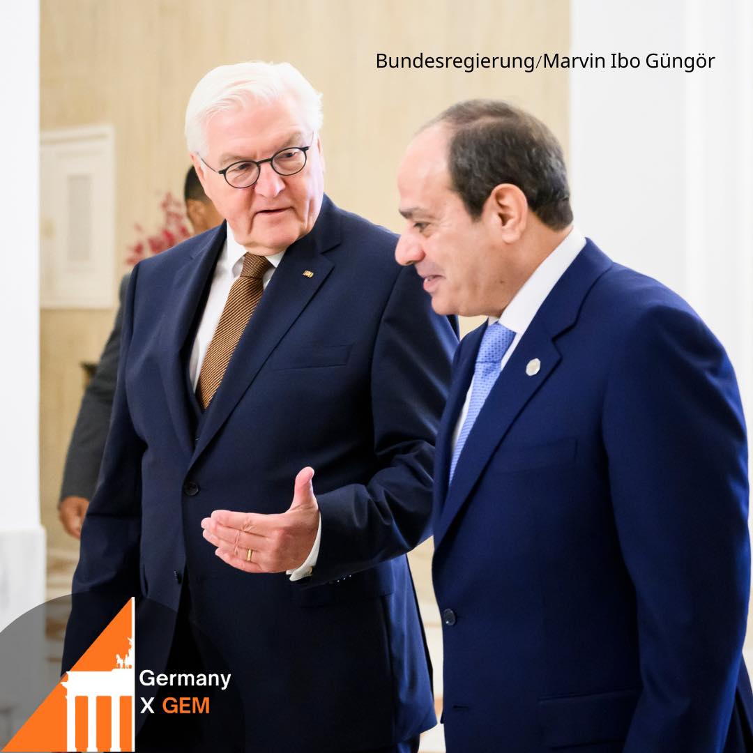 الرئيس السيسي والرئيس الألماني&nbsp;