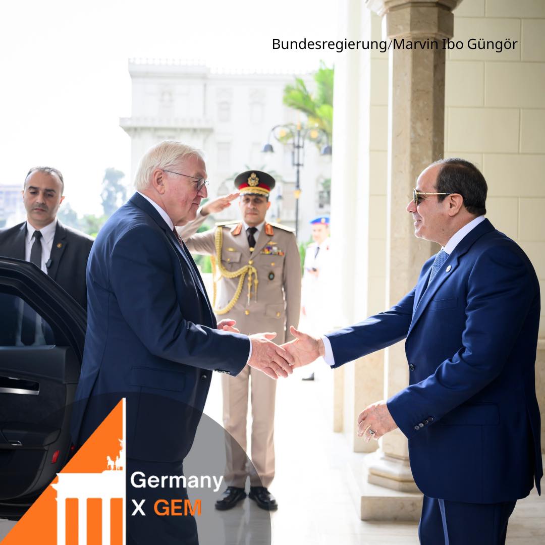 الرئيس السيسي والرئيس الألماني&nbsp;