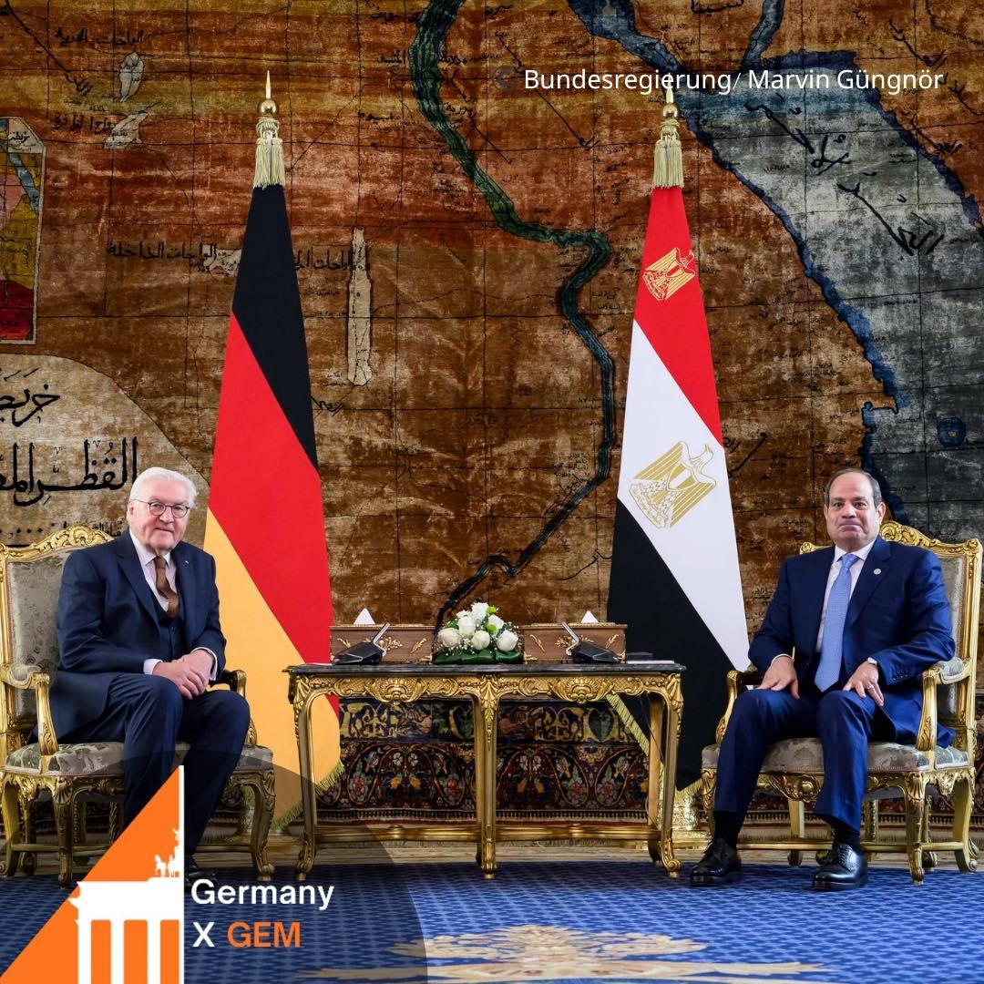 الرئيس السيسي والرئيس الألماني&nbsp;