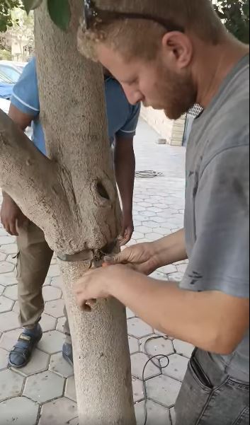 يوسف