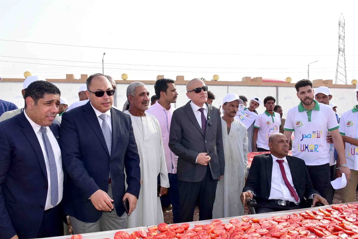 محافظ الأقصر يفتتح عددا من المشروعات التنموية&nbsp;