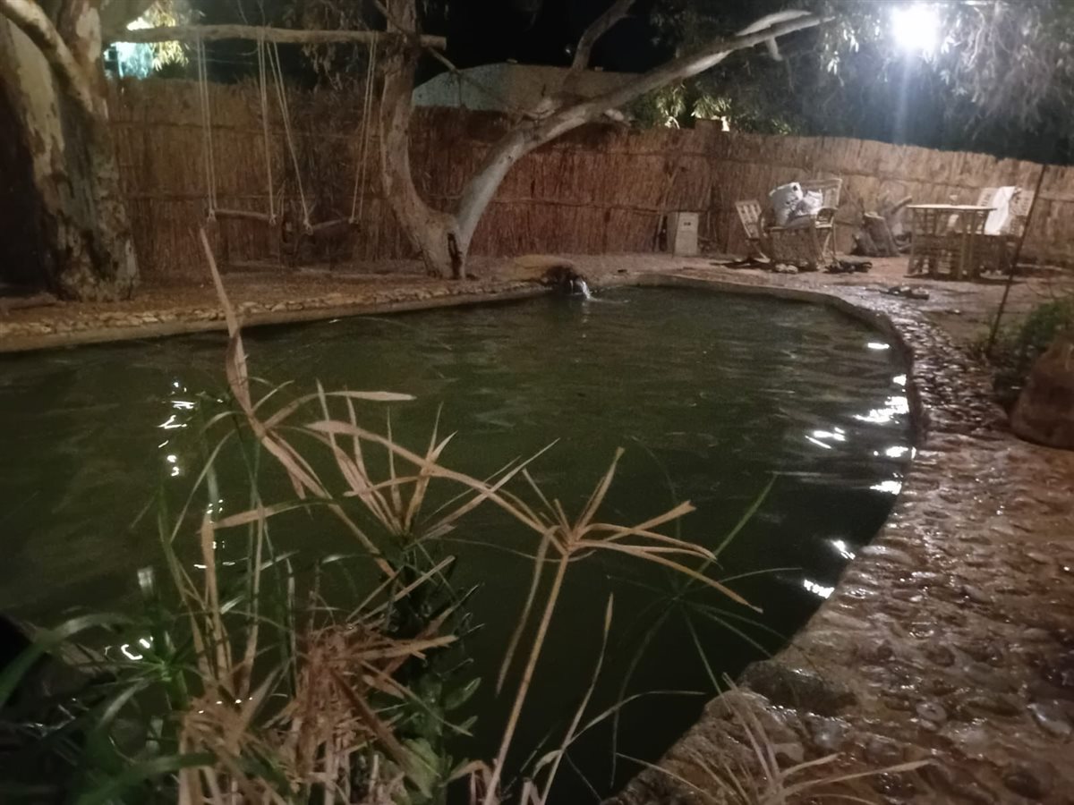 عيون المياه الكبريتية بواحة سيوة&nbsp;