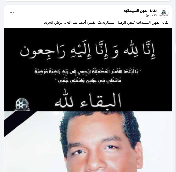 نقابة المهن السينمائية&nbsp;