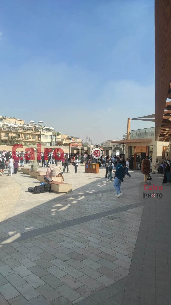 المتحف المصري&nbsp;