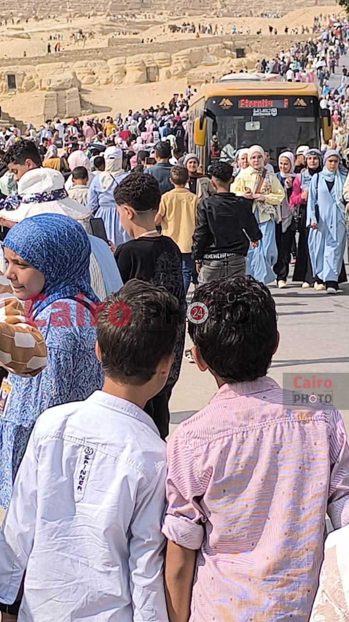المتحف المصري&nbsp;