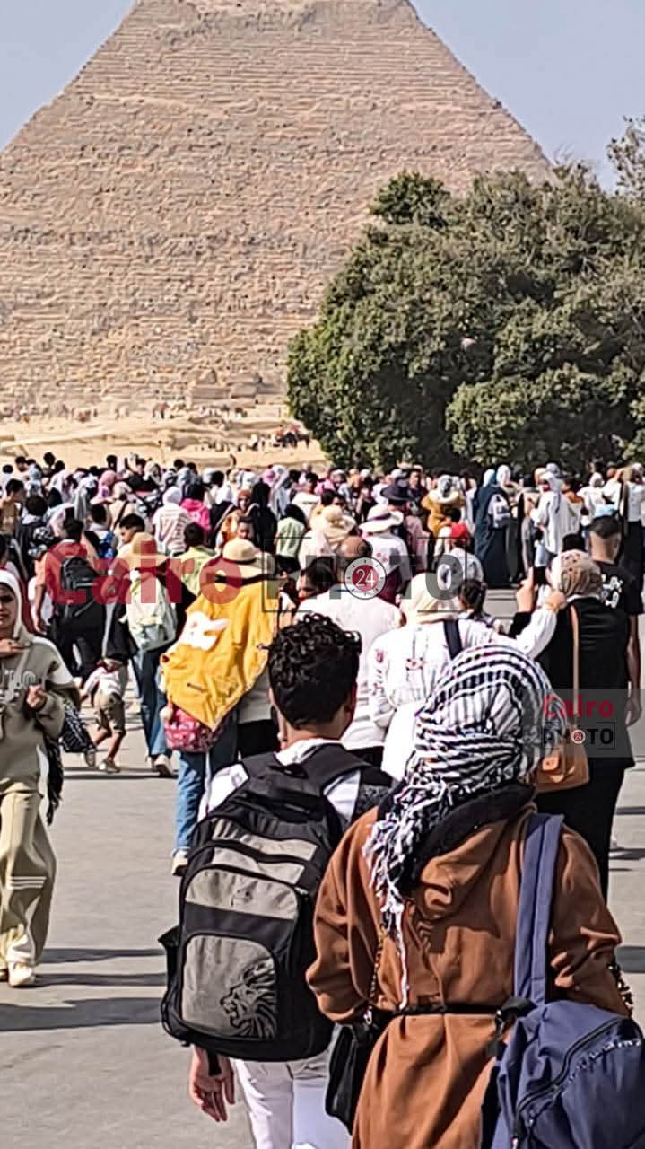 المتحف المصري&nbsp;