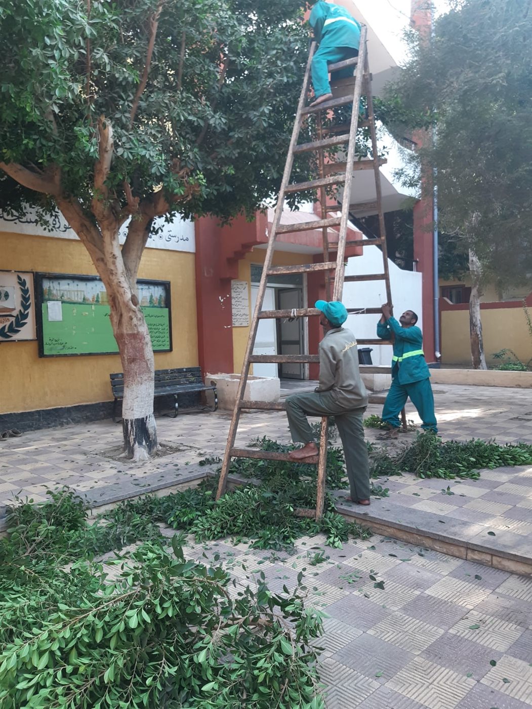 استعدادات مكثفة للانتخابات بالأقصر&nbsp;