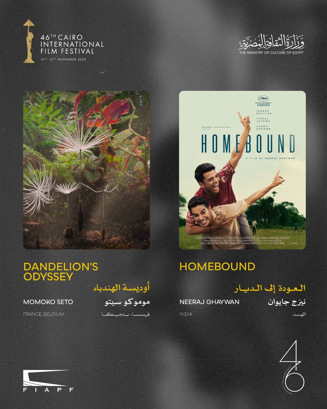 مهرجان القاهرة يعلن القائمة النهائية لبرنامج أفلام العروض الخاصة في دورته الـ46<br>&nbsp;