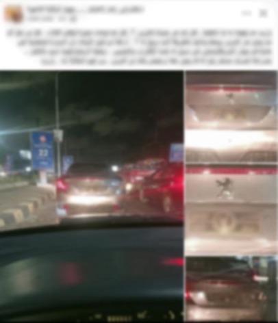 جانب من المنشور المتداول&nbsp;