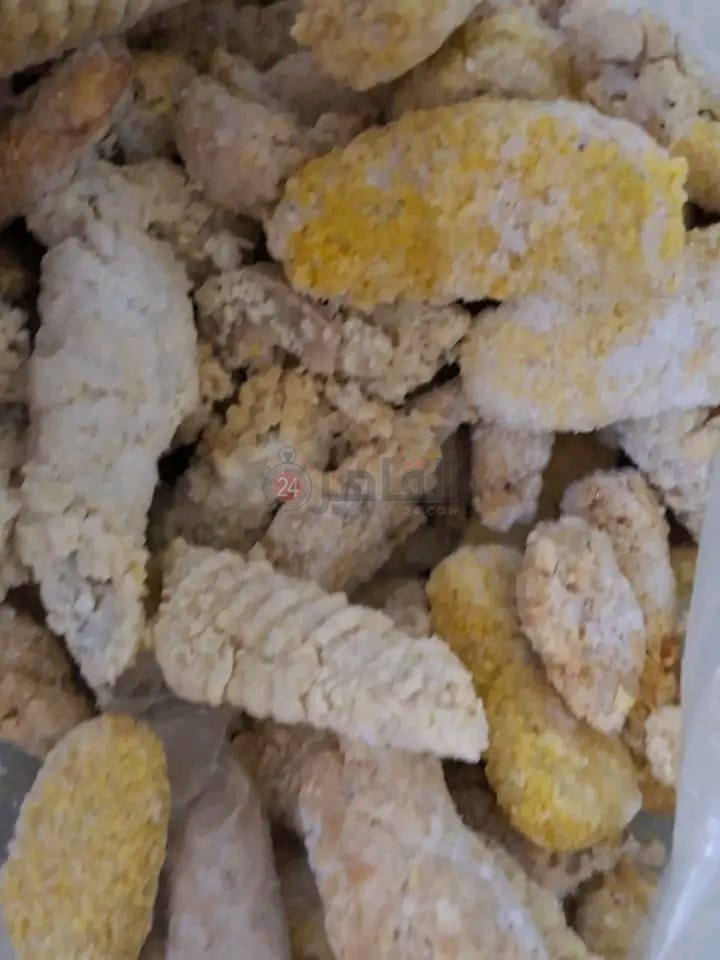 المضبوطات 