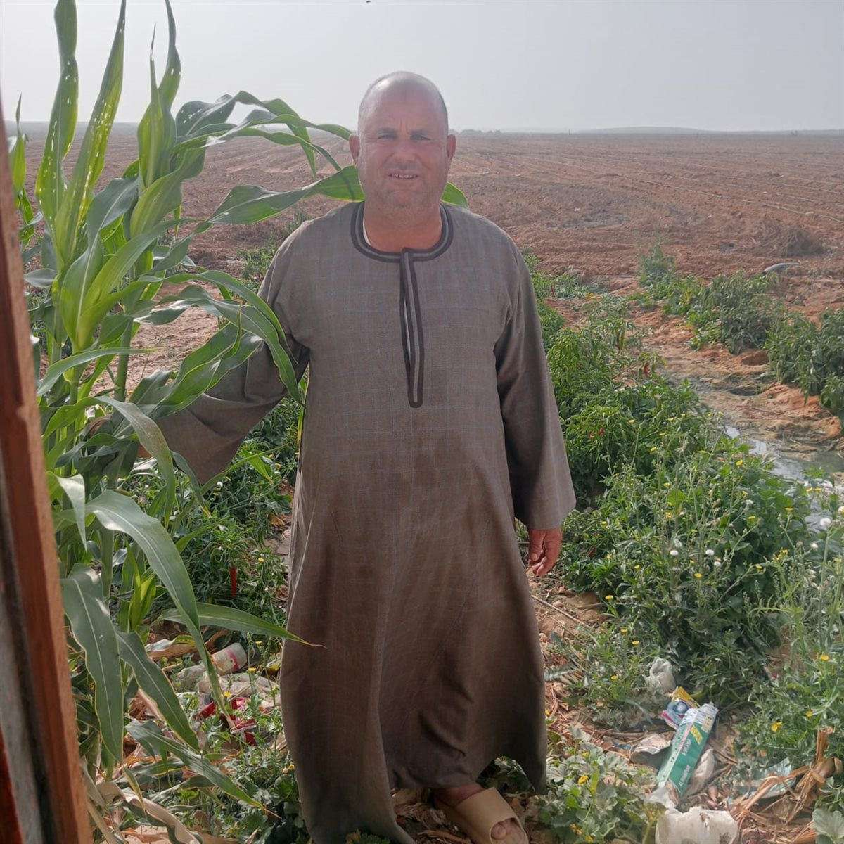 &nbsp;محمد عياد، مساعد نقيب الفلاحين