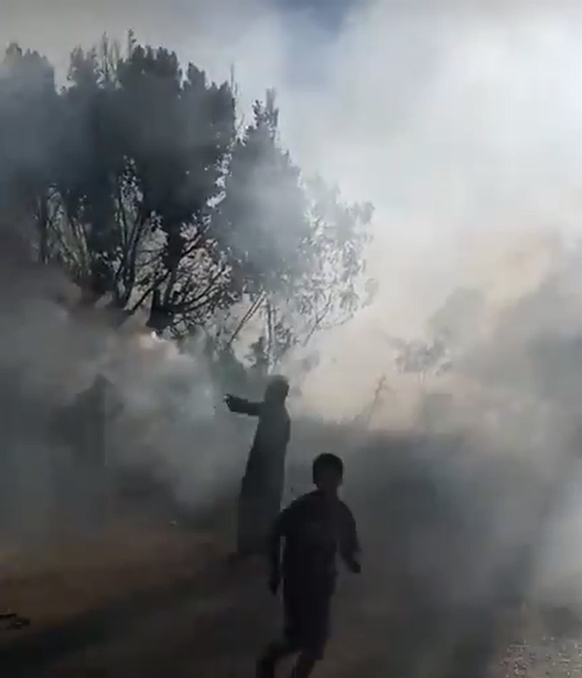 السيطرة على حريق نخيل في اسنا&nbsp;