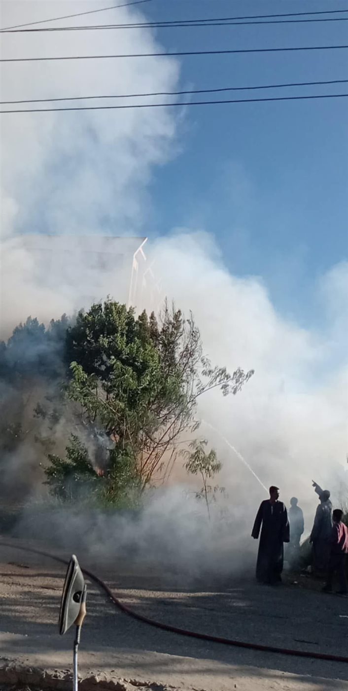 السيطرة على حريق نخيل في اسنا&nbsp;