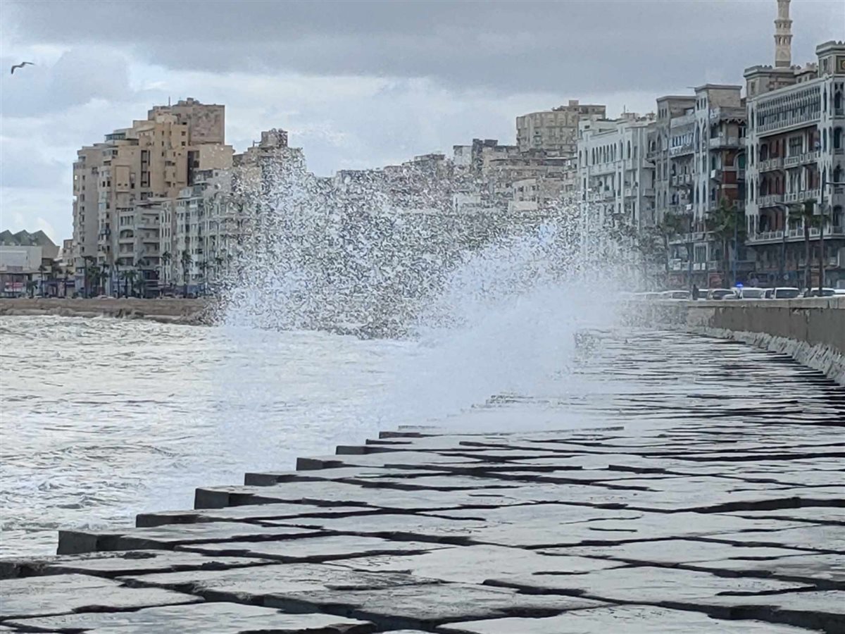 &nbsp;نوة القاسم