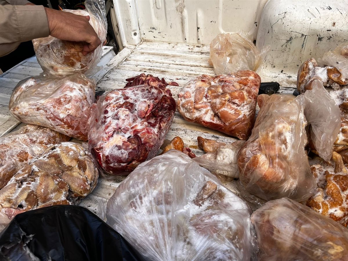 حملات للطب البيطري بالأقصر&nbsp;