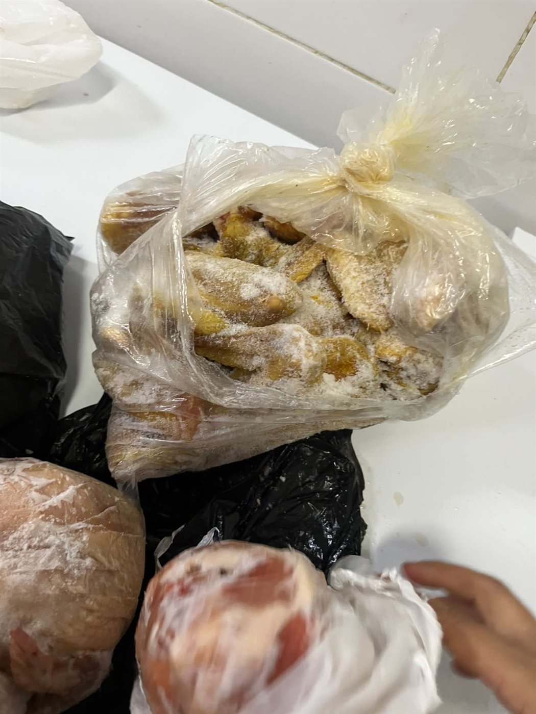 حملات للطب البيطري بالأقصر&nbsp;