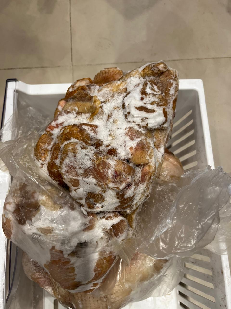 حملات للطب البيطري بالأقصر&nbsp;