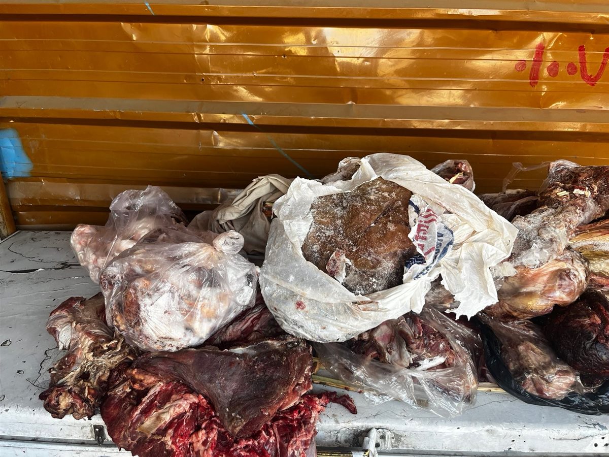 ضبط لحوم فاسدة بالأقصر&nbsp;