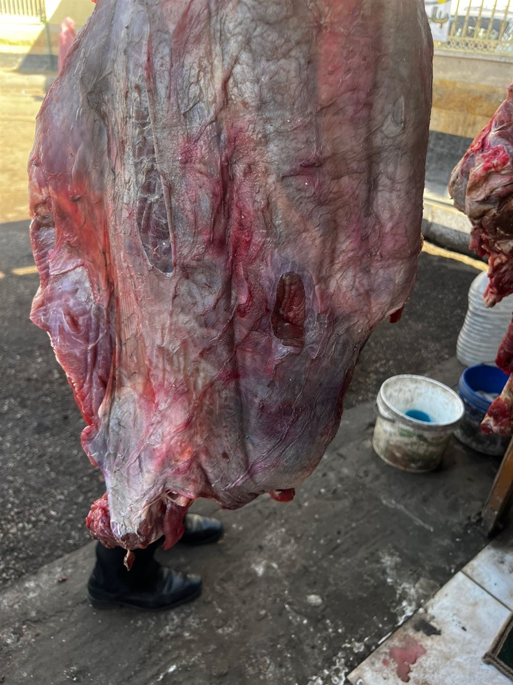 ضبط لحوم فاسدة بالأقصر&nbsp;