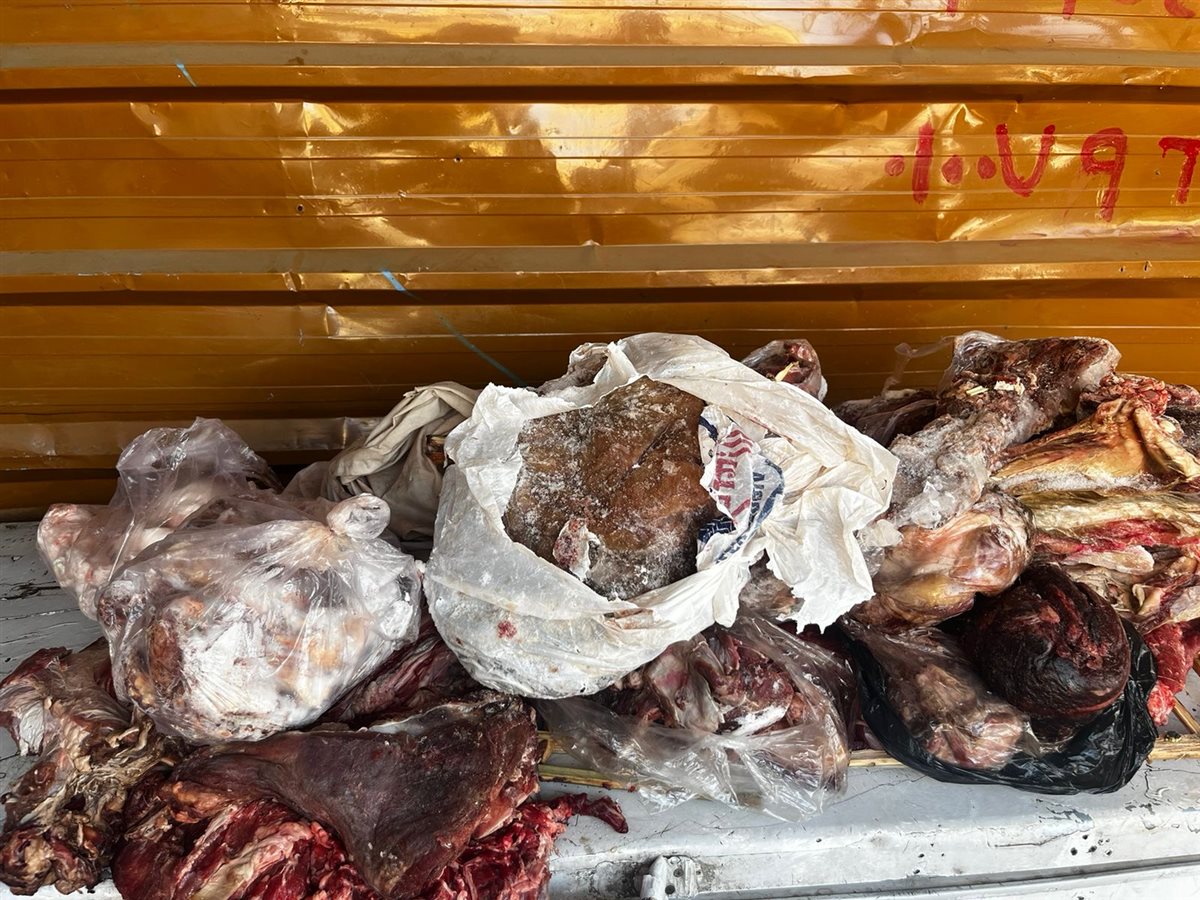 ضبط لحوم فاسدة بالأقصر&nbsp;