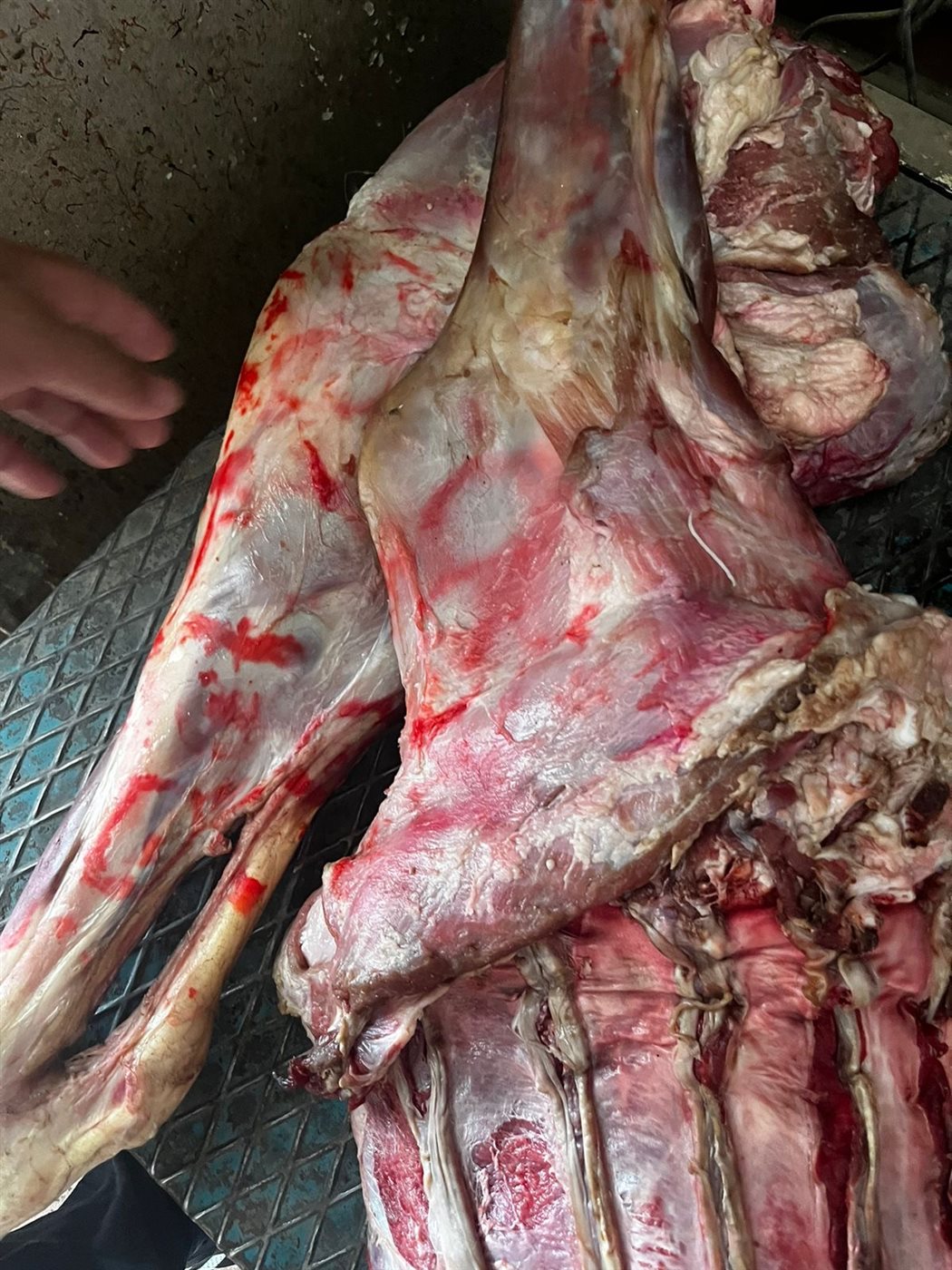 ضبط لحوم فاسدة بالأقصر&nbsp;