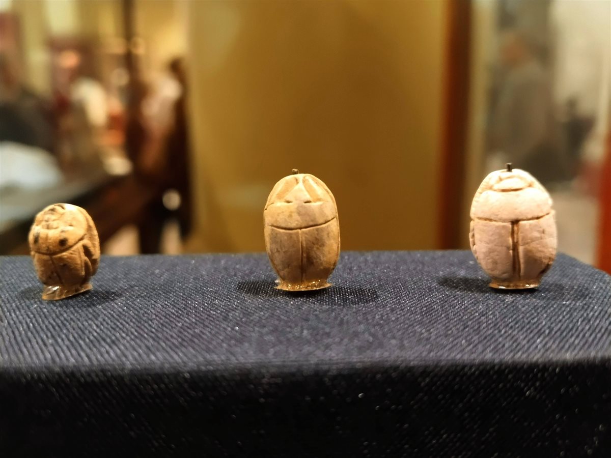 جعارين الملكة نفرتاري&nbsp;