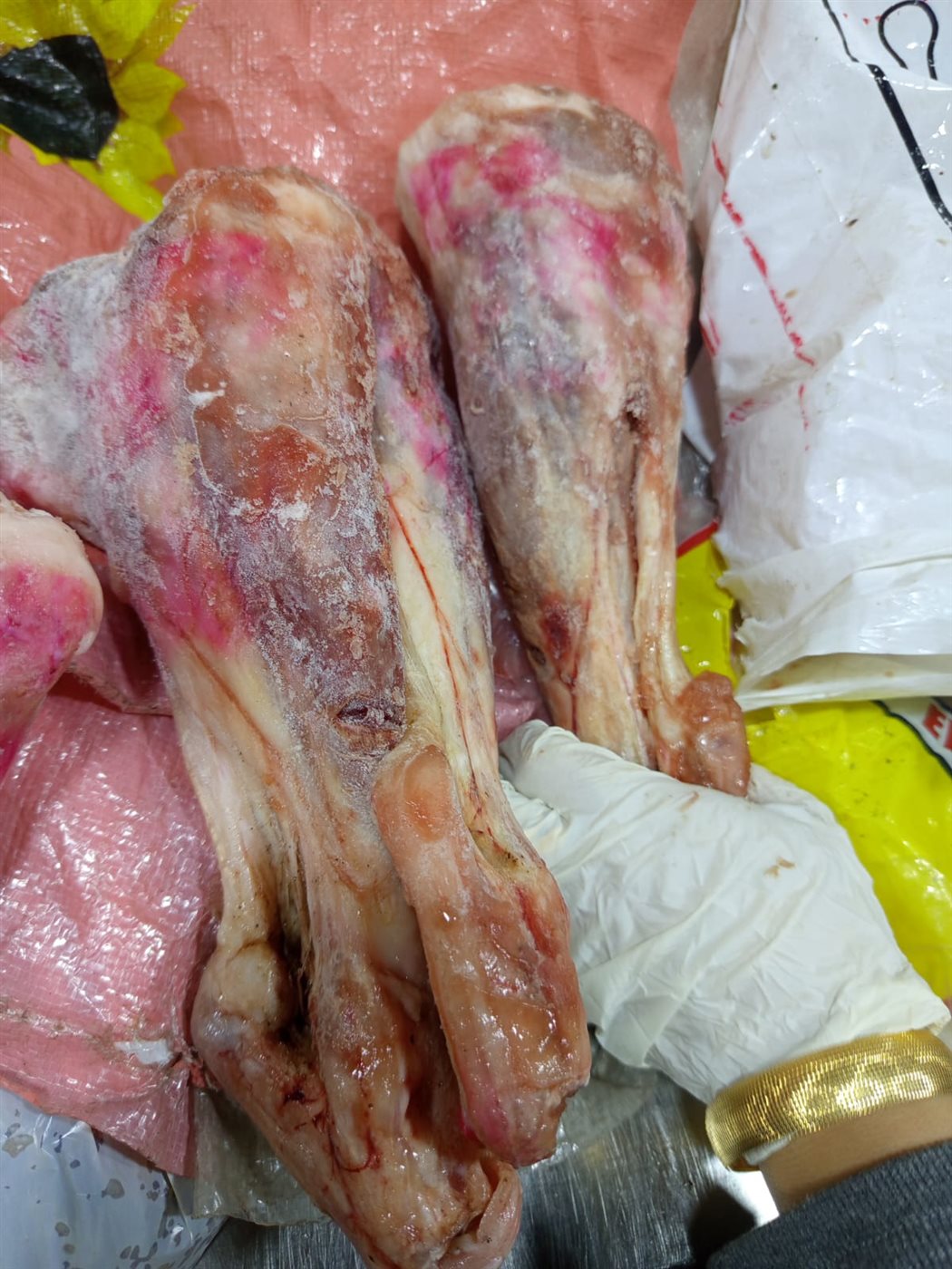 اللحوم الفاسدة