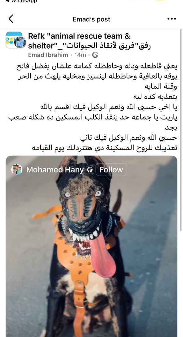 منشور عبر فسيبوك&nbsp;