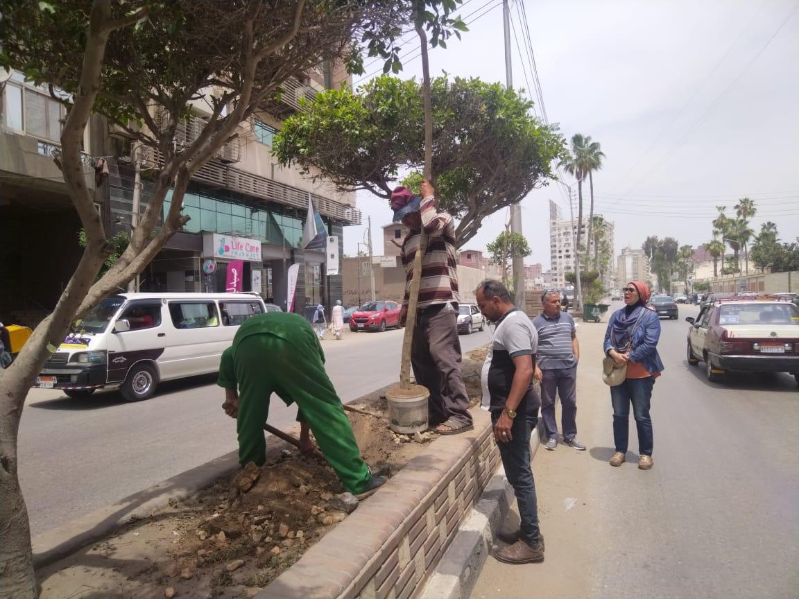 &nbsp;انطلاق المرحلة الرابعة من المبادرة الرئاسية 100 مليون شجرة