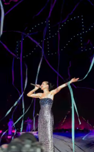 &nbsp;الفنانة الأمريكية <span style=
