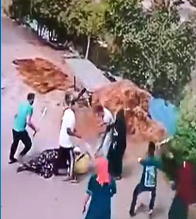 المشاجرة&nbsp;