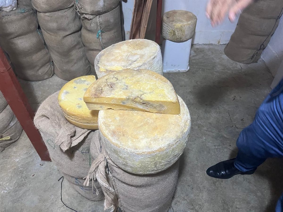 حملة تموينية مكبرة&nbsp;