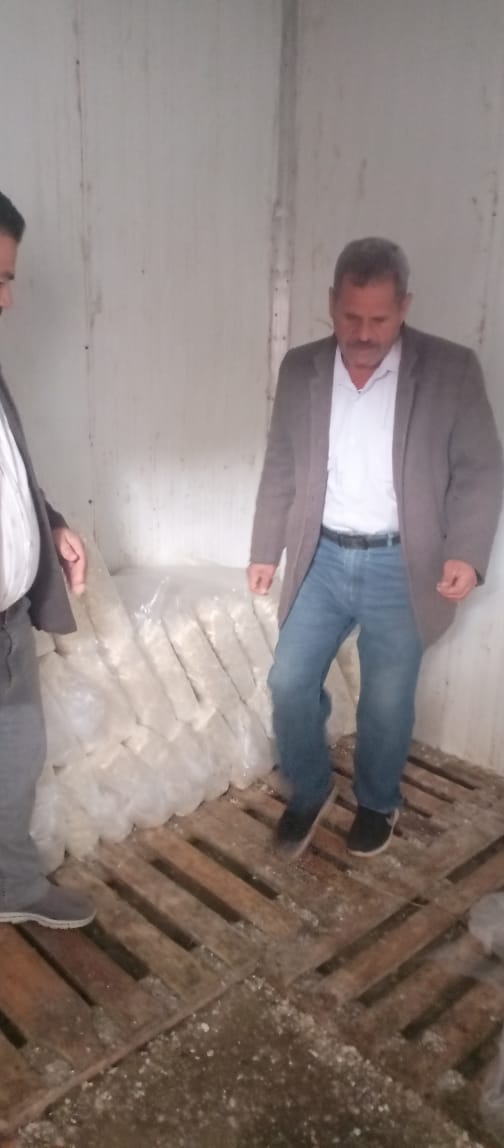 المضبوطات