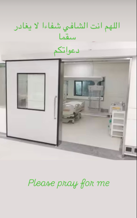هبة السيسي
