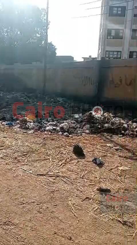 صور من مدرسة الحجيرات الابتدائية في قنا