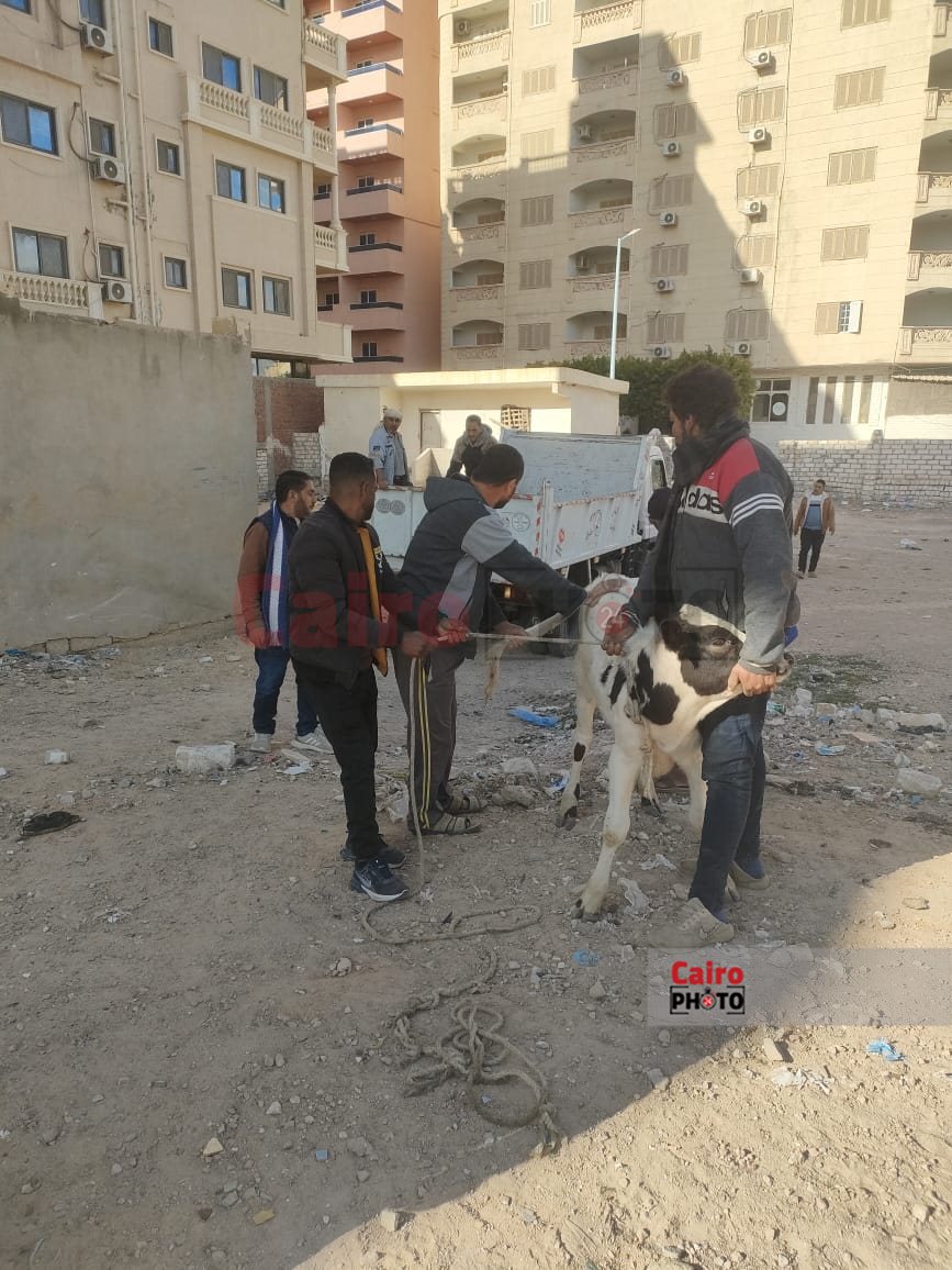 الحملة