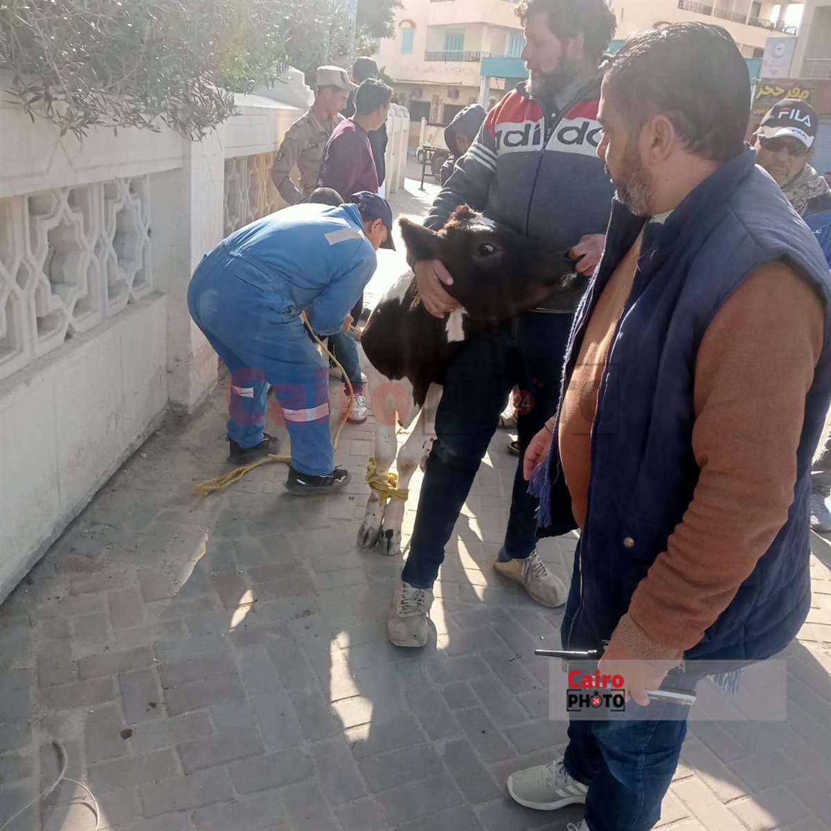 الحملة