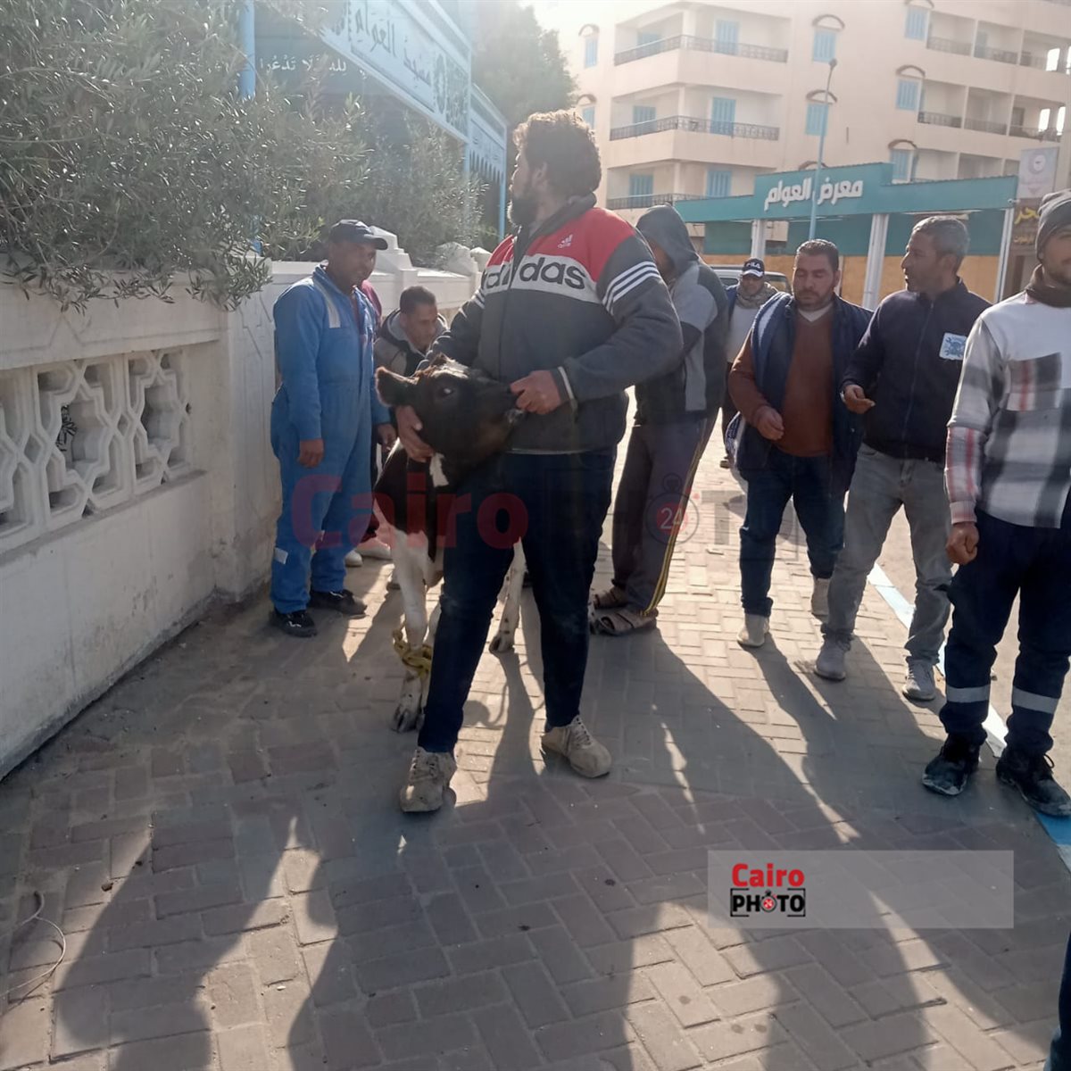 الحملة