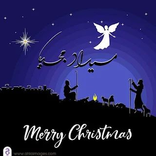صور عيد الميلاد المجيد 2026