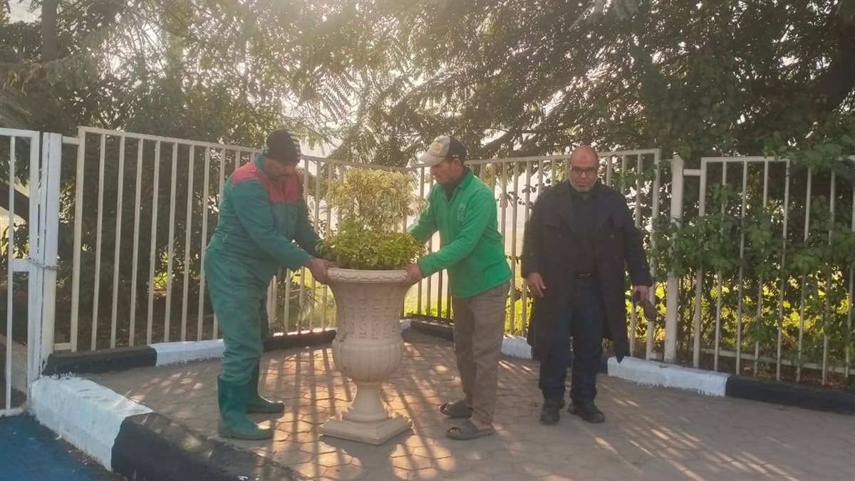 رئيس حي الساحل: إنارة جديدة بكورنيش النيل أمام معهد ناصر ضمن خطة تطوير الشوارع