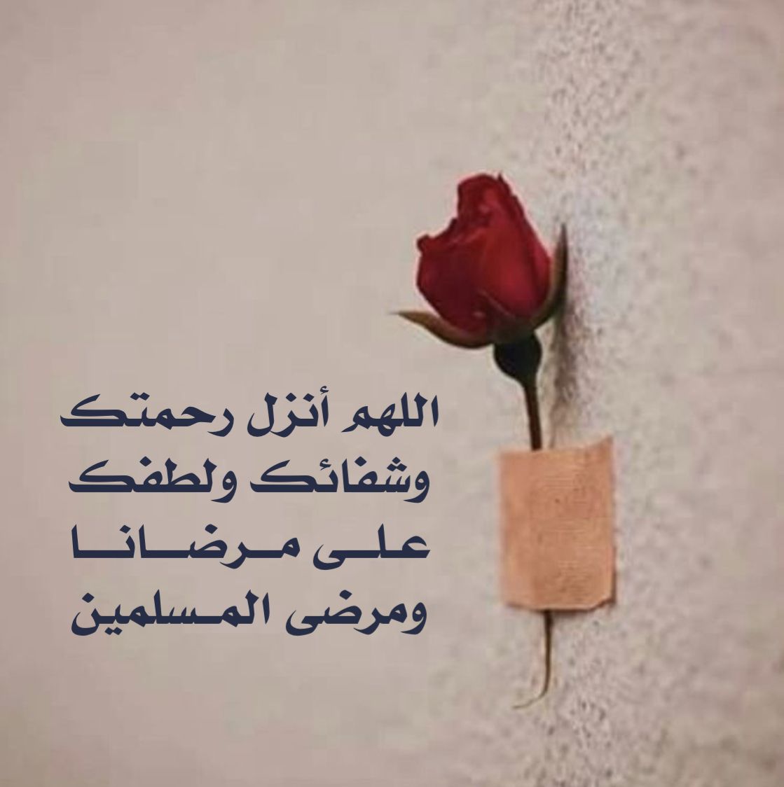 <span style=