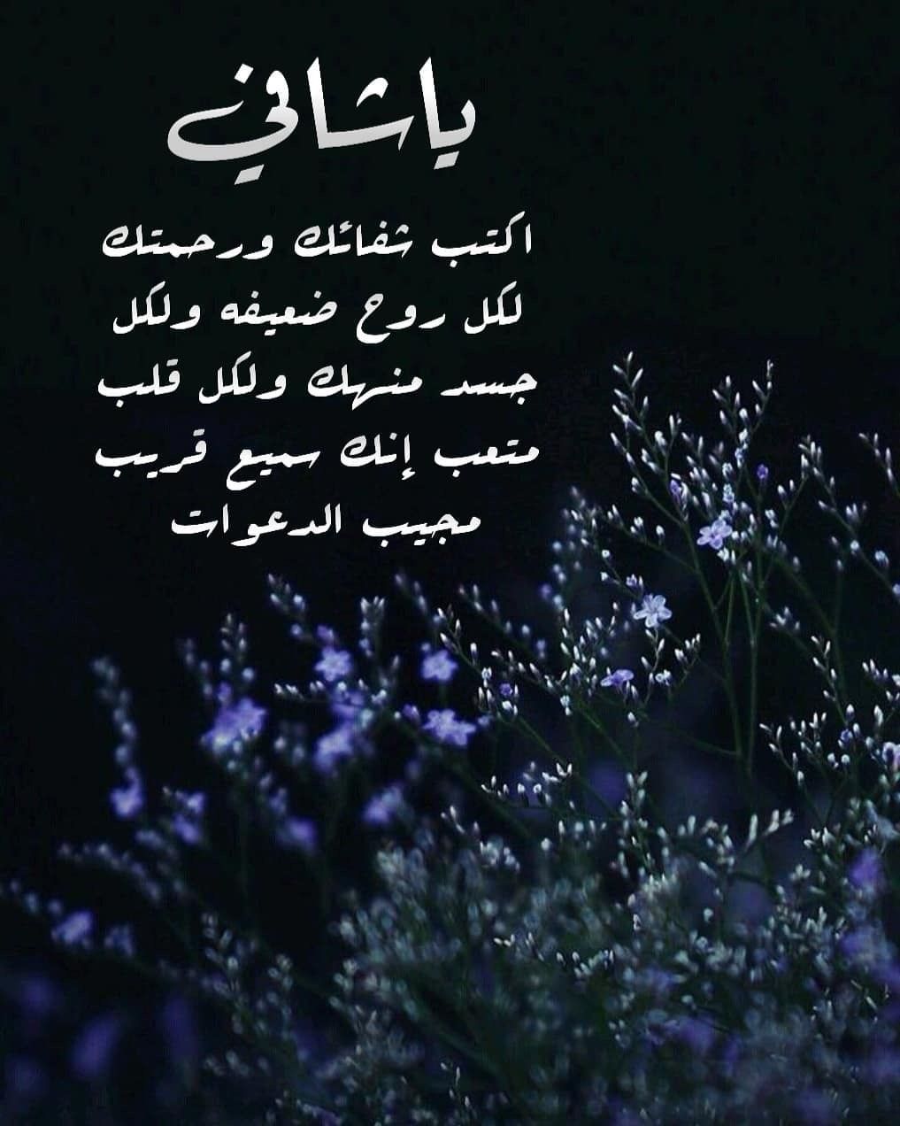 <span style=