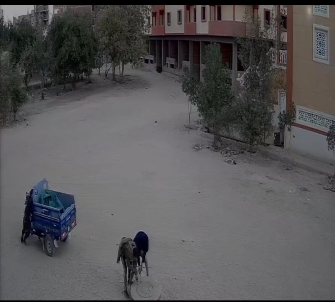 سرقة أغطية غرف الصرف الصحي&nbsp;