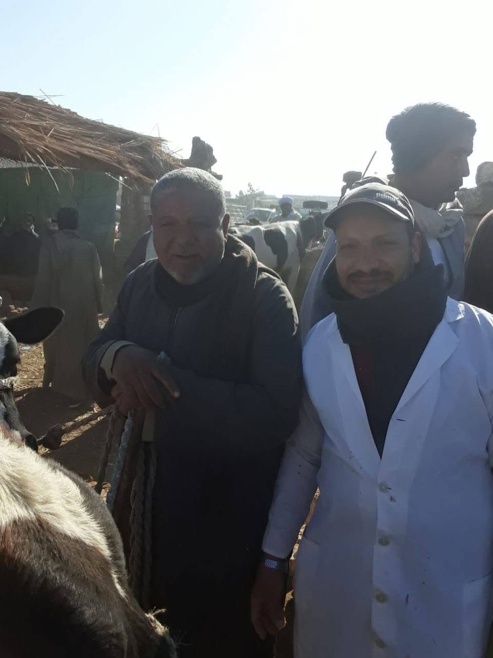 حملة بيطرية &nbsp;بأسواق إسنا&nbsp;