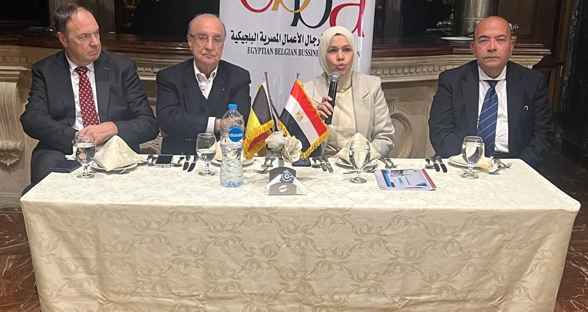 رئيس مصلحة الضرائب&nbsp;