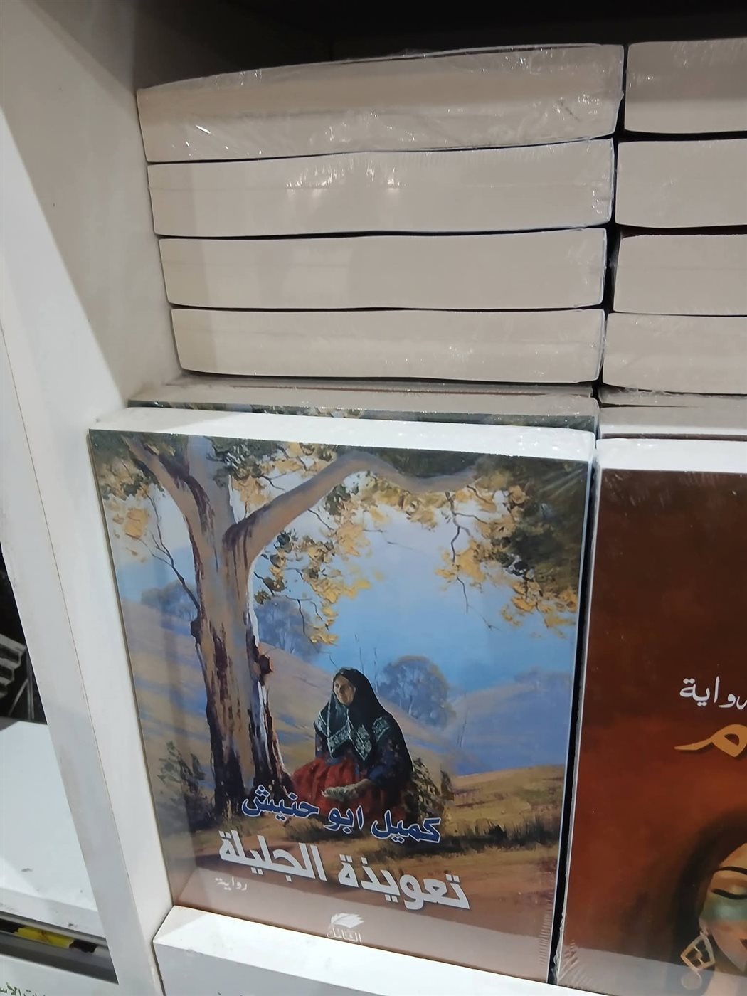 روايات الأديب الفلسطيني المحرر كميل أبو حنيش بمعرض القاهرة الدولي للكتاب