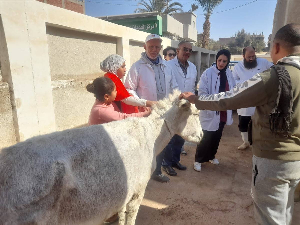 الزراعة تطلق قوافل بيطرية مجانية في قرى سوهاج
