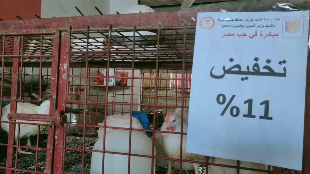 افتتاح سوق اليوم الواحد برأس سدر بتخفيضات تصل إلى 35%