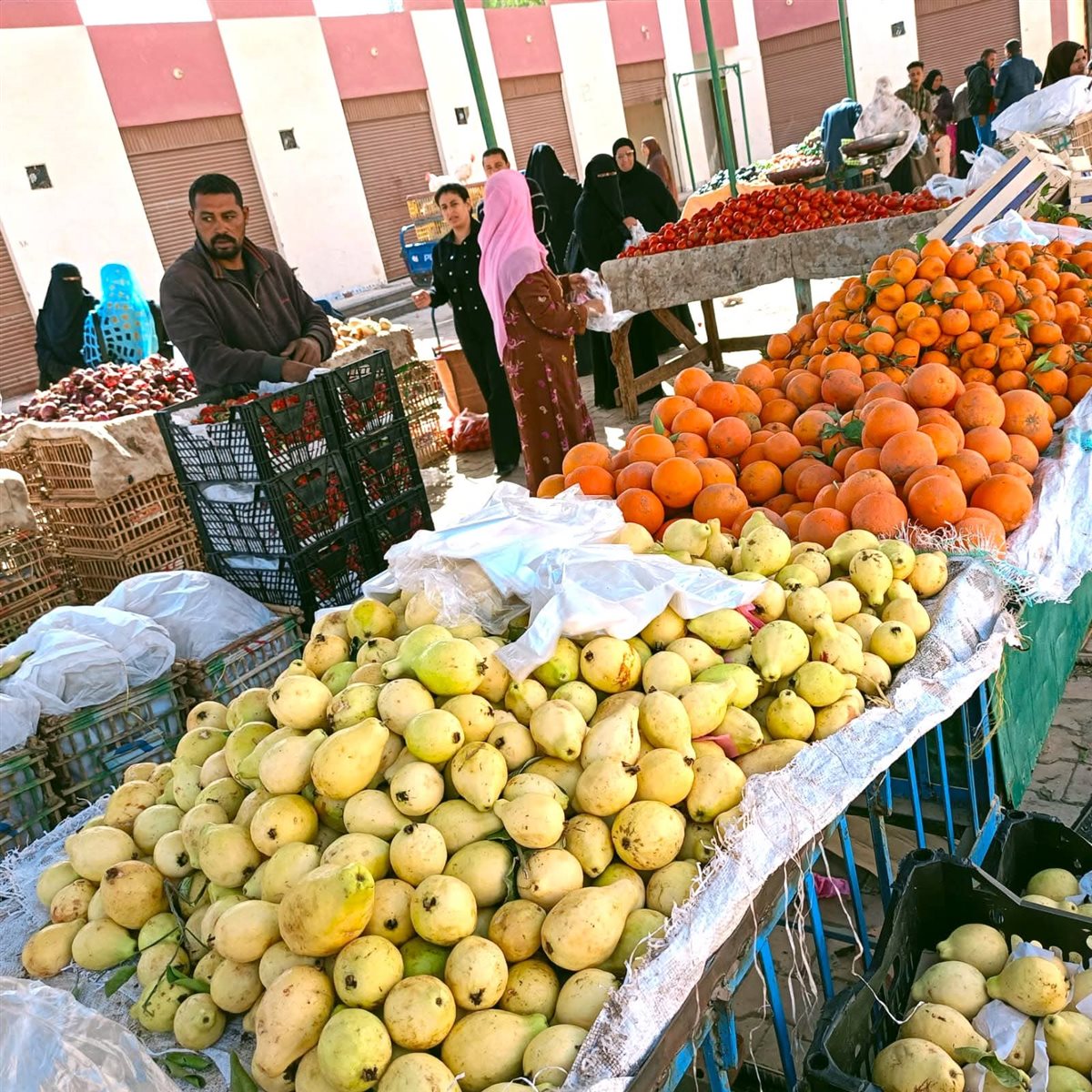 منافذ بيع سلع بالوادى الجديد