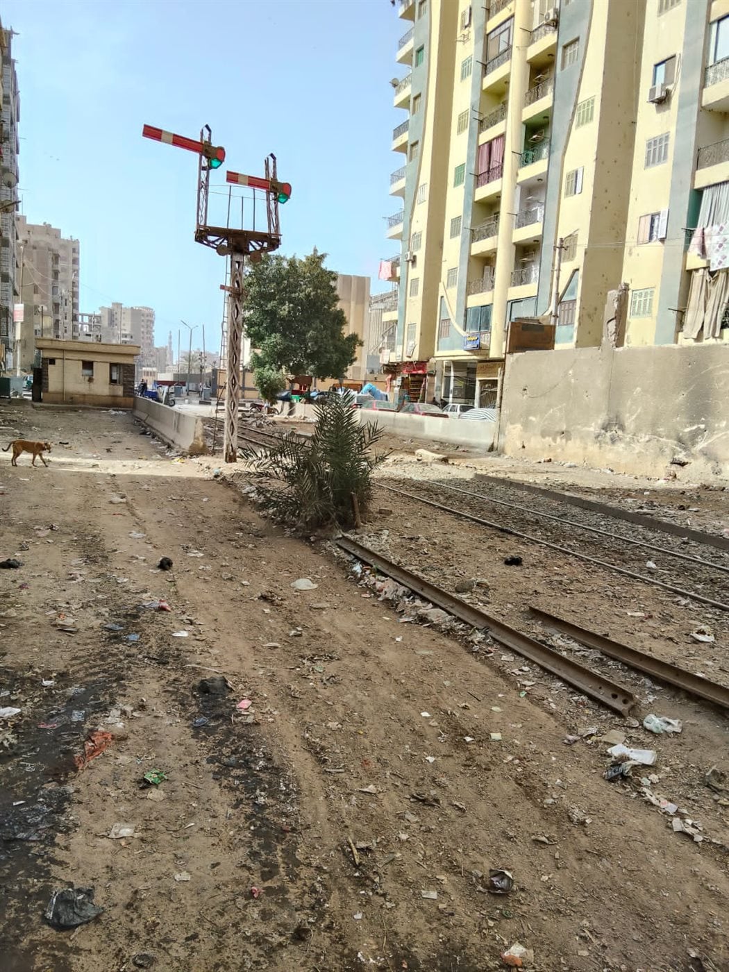 استمرار الحملات المكبرة للنظافة ورفع الإشغالات بميادين وشوارع مدينة الفيوم 